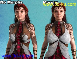 3D打印模型RSSY Ultimate Clothing Fixer Genesis 3的图片