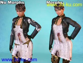 3D打印模型RSSY Ultimate Clothing Fixer Genesis 3的图片