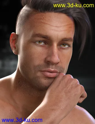 3D打印模型RY Steven for Michael 8的图片