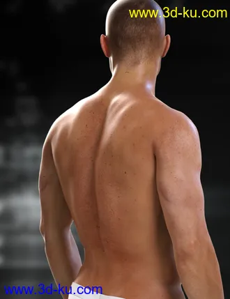 3D打印模型RY Steven for Michael 8的图片