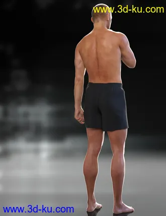 3D打印模型RY Steven for Michael 8的图片