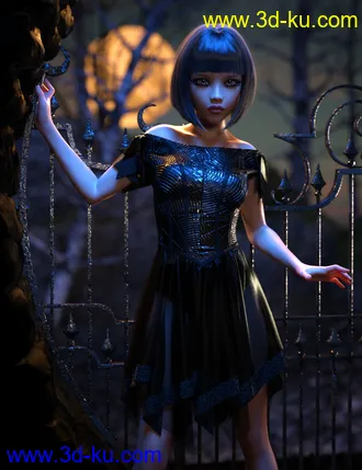 Rynne 8模型的图片26