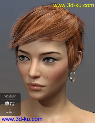 3D打印模型Sam Hair for Genesis 3 and 8 Female(s)的图片