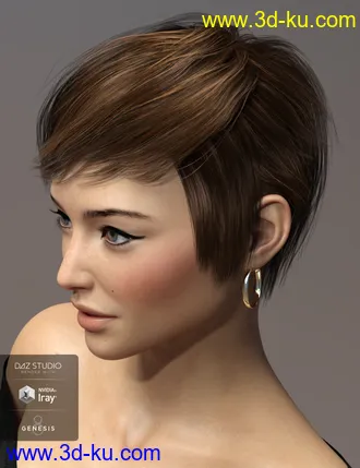 3D打印模型Sam Hair for Genesis 3 and 8 Female(s)的图片