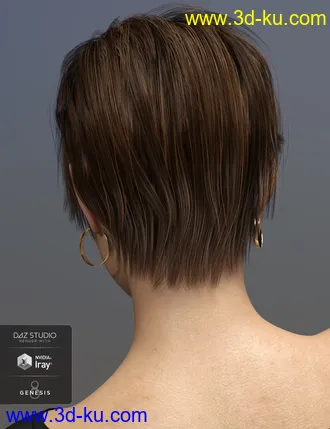 3D打印模型Sam Hair for Genesis 3 and 8 Female(s)的图片