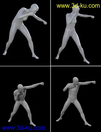 3D打印模型Seasoned Fighter poses for Genesis 3 and 8的图片