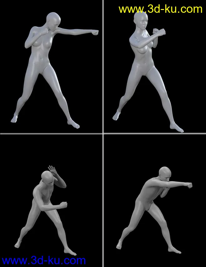 Seasoned Fighter poses for Genesis 3 and 8模型的图片8