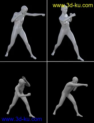 3D打印模型Seasoned Fighter poses for Genesis 3 and 8的图片