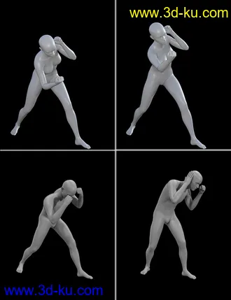 3D打印模型Seasoned Fighter poses for Genesis 3 and 8的图片