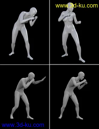 3D打印模型Seasoned Fighter poses for Genesis 3 and 8的图片