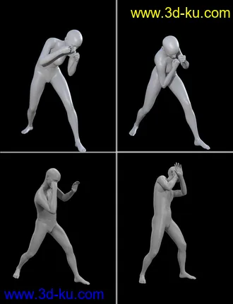 3D打印模型Seasoned Fighter poses for Genesis 3 and 8的图片