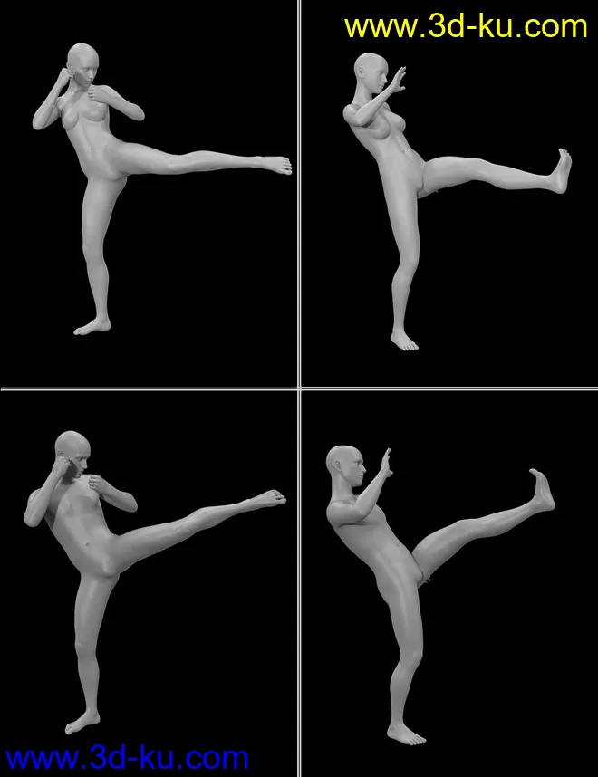 Seasoned Fighter poses for Genesis 3 and 8模型的图片12