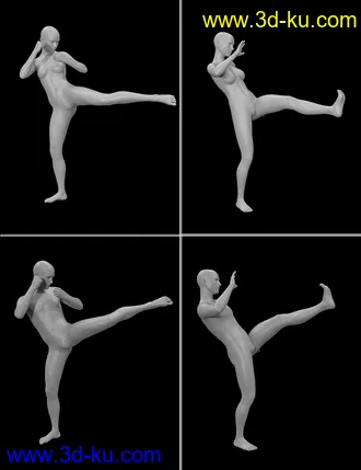 3D打印模型Seasoned Fighter poses for Genesis 3 and 8的图片