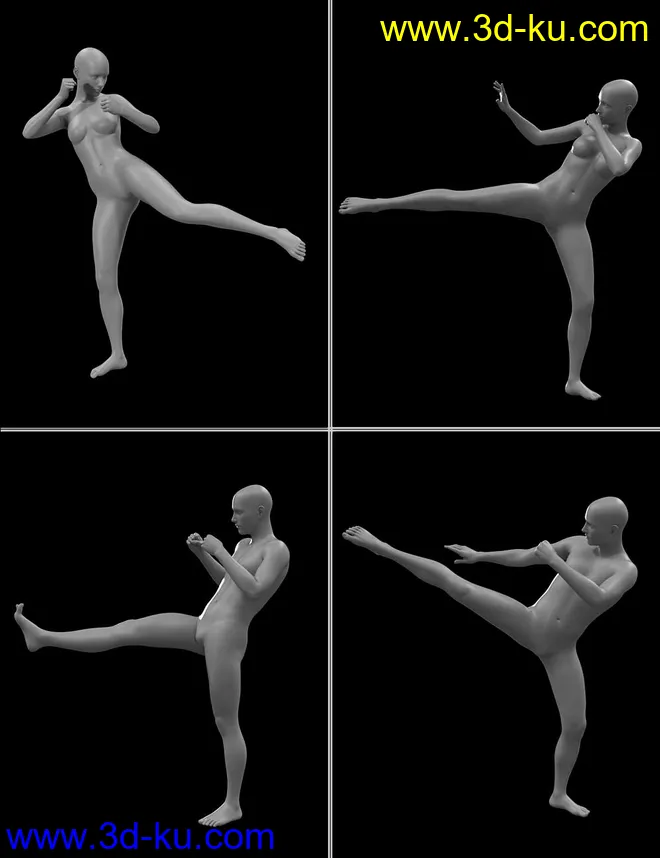 Seasoned Fighter poses for Genesis 3 and 8模型的图片13