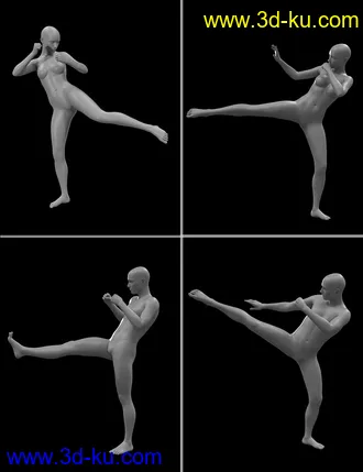 3D打印模型Seasoned Fighter poses for Genesis 3 and 8的图片