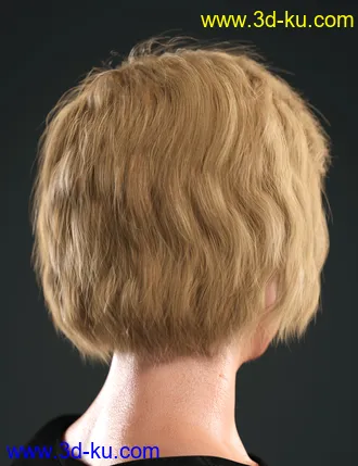 3D打印模型SP Hair 005 for Genesis 3 and 8 Female(s)的图片