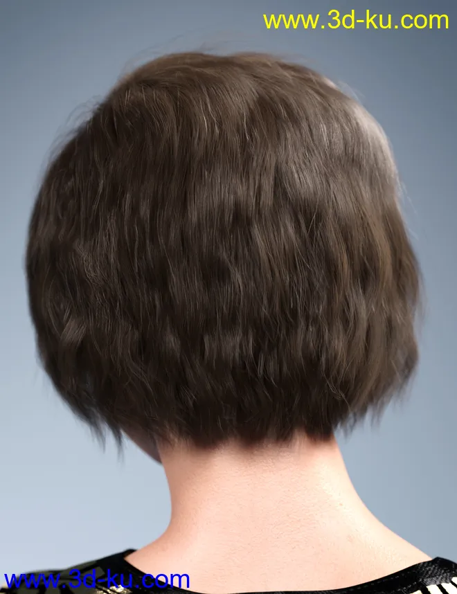 SP Hair 005 for Genesis 3 and 8 Female(s)模型的图片5