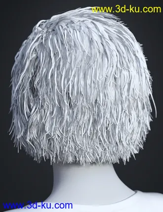 3D打印模型SP Hair 005 for Genesis 3 and 8 Female(s)的图片