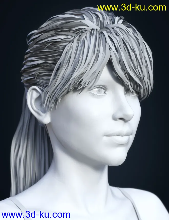 SP Hair 008 for Genesis 3 and 8 Female(s)模型的图片7