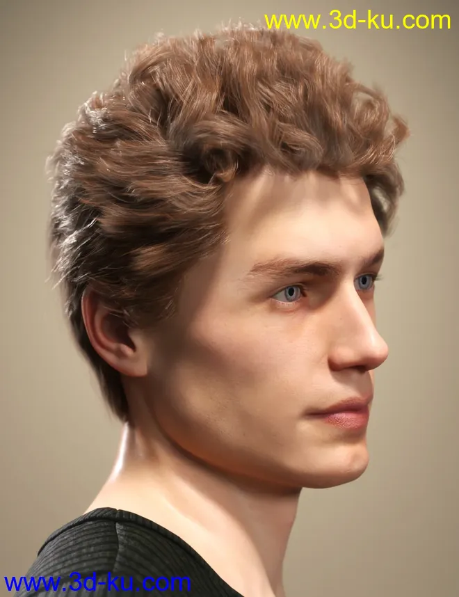 SP Hair 009 for Genesis 3 and 8 Male(s)模型的图片2