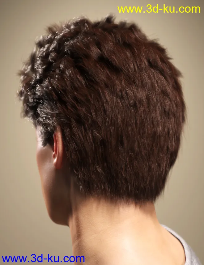 SP Hair 009 for Genesis 3 and 8 Male(s)模型的图片6