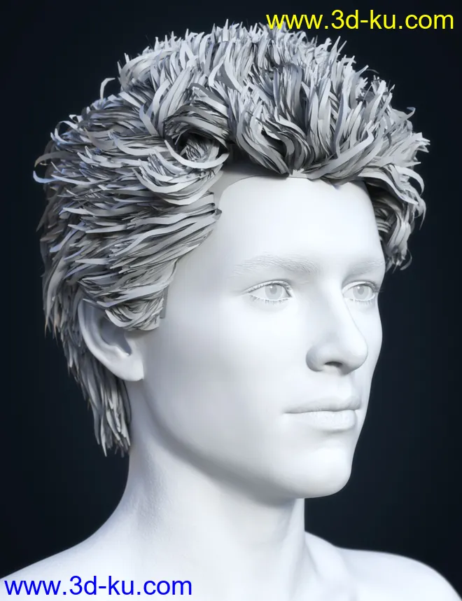 SP Hair 009 for Genesis 3 and 8 Male(s)模型的图片7