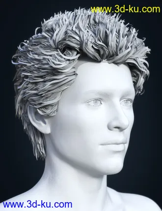 3D打印模型SP Hair 009 for Genesis 3 and 8 Male(s)的图片