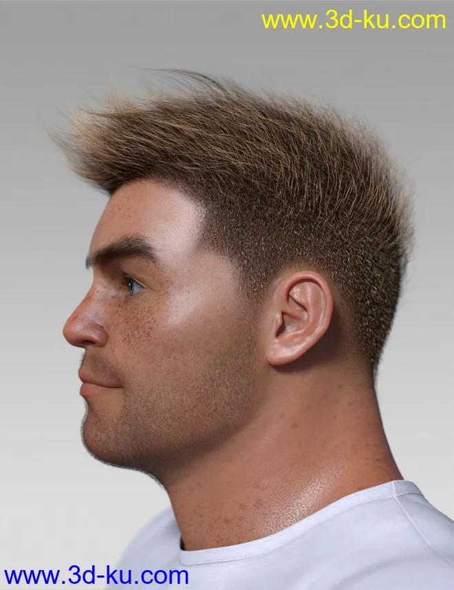 Spiky Hair for Genesis 3 and 8模型的图片2