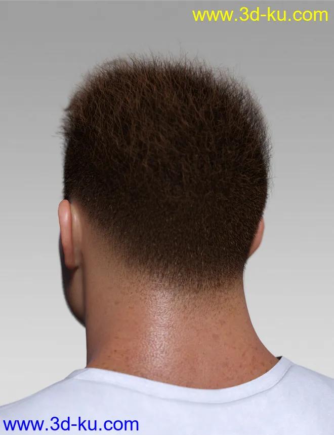 Spiky Hair for Genesis 3 and 8模型的图片3