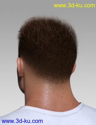 3D打印模型Spiky Hair for Genesis 3 and 8的图片