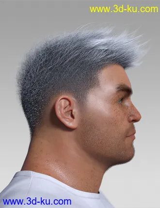 3D打印模型Spiky Hair for Genesis 3 and 8的图片