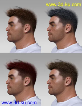 3D打印模型Spiky Hair for Genesis 3 and 8的图片