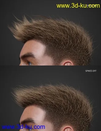3D打印模型Spiky Hair for Genesis 3 and 8的图片