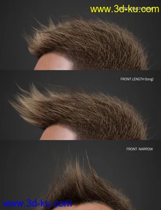 3D打印模型Spiky Hair for Genesis 3 and 8的图片