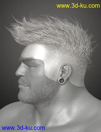 3D打印模型Spiky Hair for Genesis 3 and 8的图片