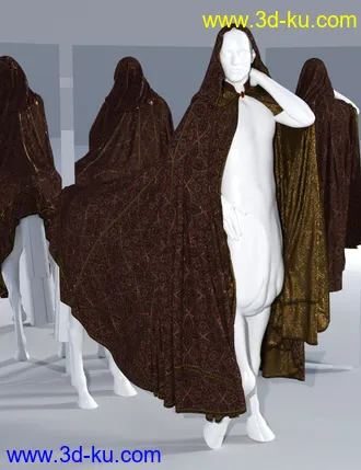 3D打印模型SsC dForce Raiding Cloak for Genesis 3 and 8的图片