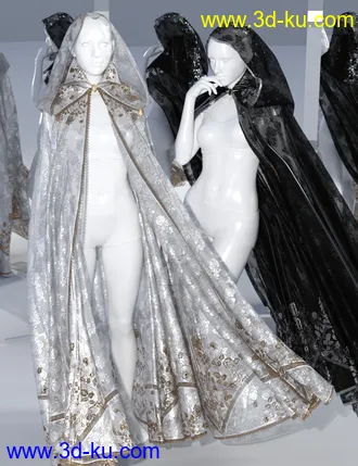 3D打印模型SsC dForce Raiding Cloak for Genesis 3 and 8的图片