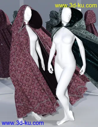 3D打印模型SsC dForce Raiding Cloak for Genesis 3 and 8的图片