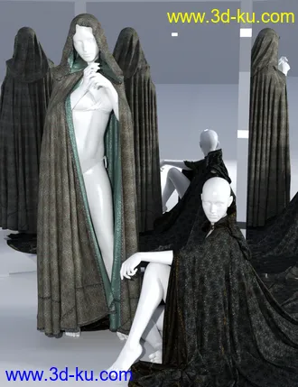 3D打印模型SsC dForce Raiding Cloak for Genesis 3 and 8的图片