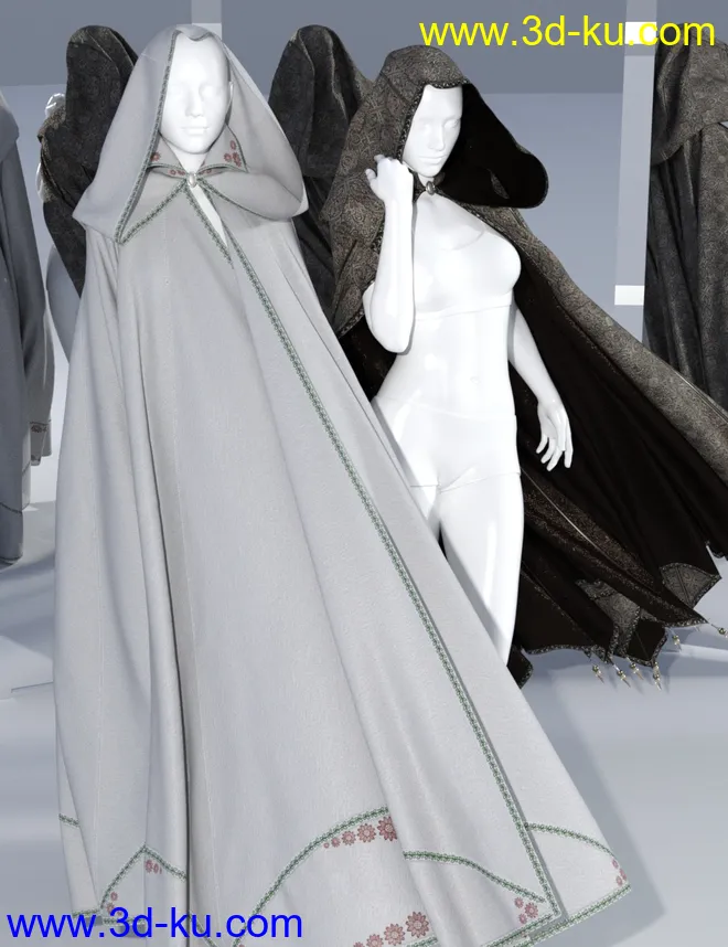 SsC dForce Raiding Cloak for Genesis 3 and 8模型的图片9