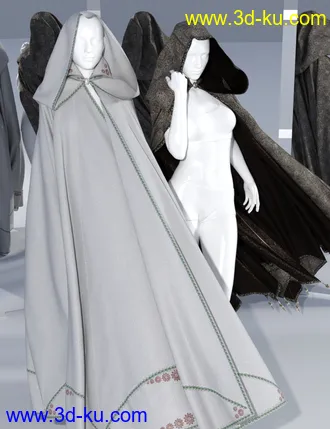 3D打印模型SsC dForce Raiding Cloak for Genesis 3 and 8的图片