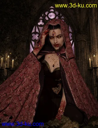 3D打印模型SsC dForce Raiding Cloak for Genesis 3 and 8的图片