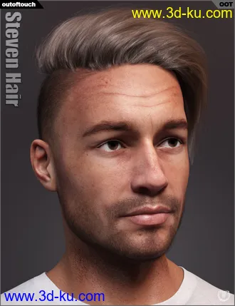 3D打印模型Steven Hair for Genesis 3 and Genesis 8的图片