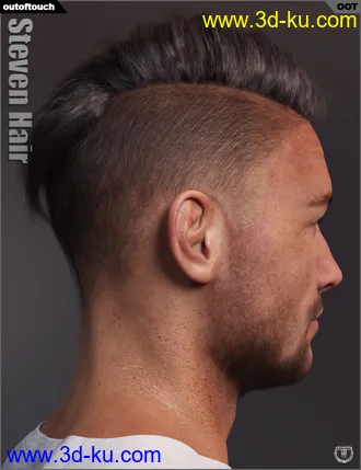 3D打印模型Steven Hair for Genesis 3 and Genesis 8的图片
