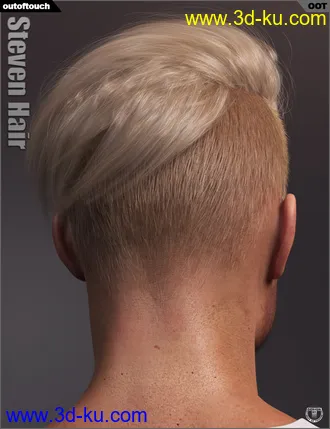 3D打印模型Steven Hair for Genesis 3 and Genesis 8的图片