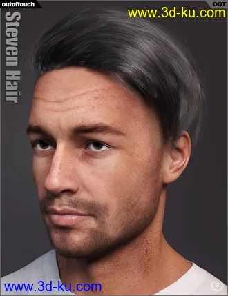3D打印模型Steven Hair for Genesis 3 and Genesis 8的图片