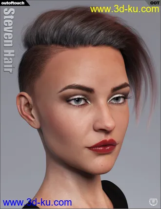 3D打印模型Steven Hair for Genesis 3 and Genesis 8的图片