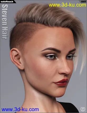 3D打印模型Steven Hair for Genesis 3 and Genesis 8的图片