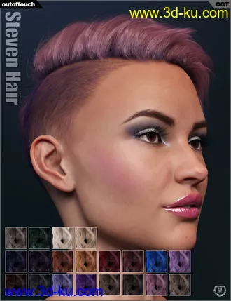 3D打印模型Steven Hair for Genesis 3 and Genesis 8的图片