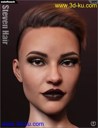 3D打印模型Steven Hair for Genesis 3 and Genesis 8的图片